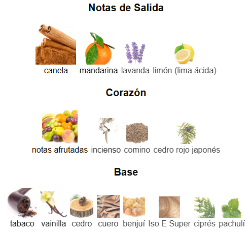 AZZARO WANTED BY NIGHT