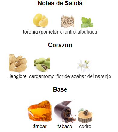 DOLCE & GABANNA THE ONE EDT