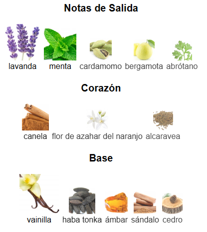 JEAN PAUL GAULTIER LE MALE