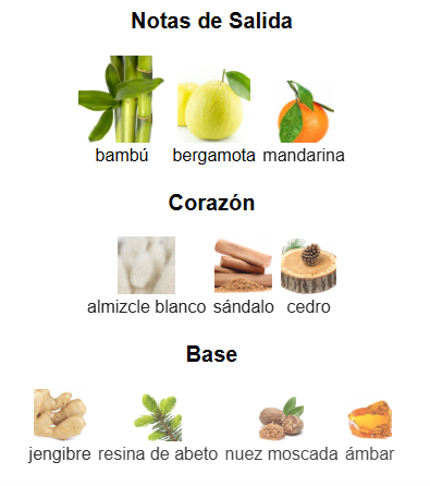 MONTBLANC STARWALKER