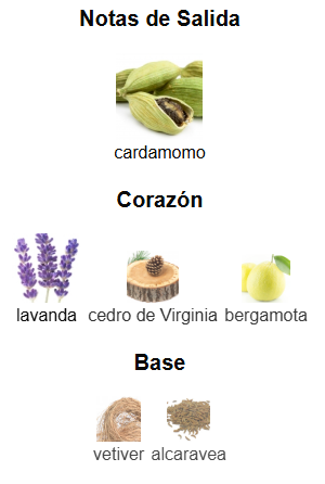 YSL LA NUIT DE L'HOMME EDT